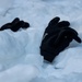 Marines with 3/5 participate in Avalanche Rescue Class during MTX 1-25