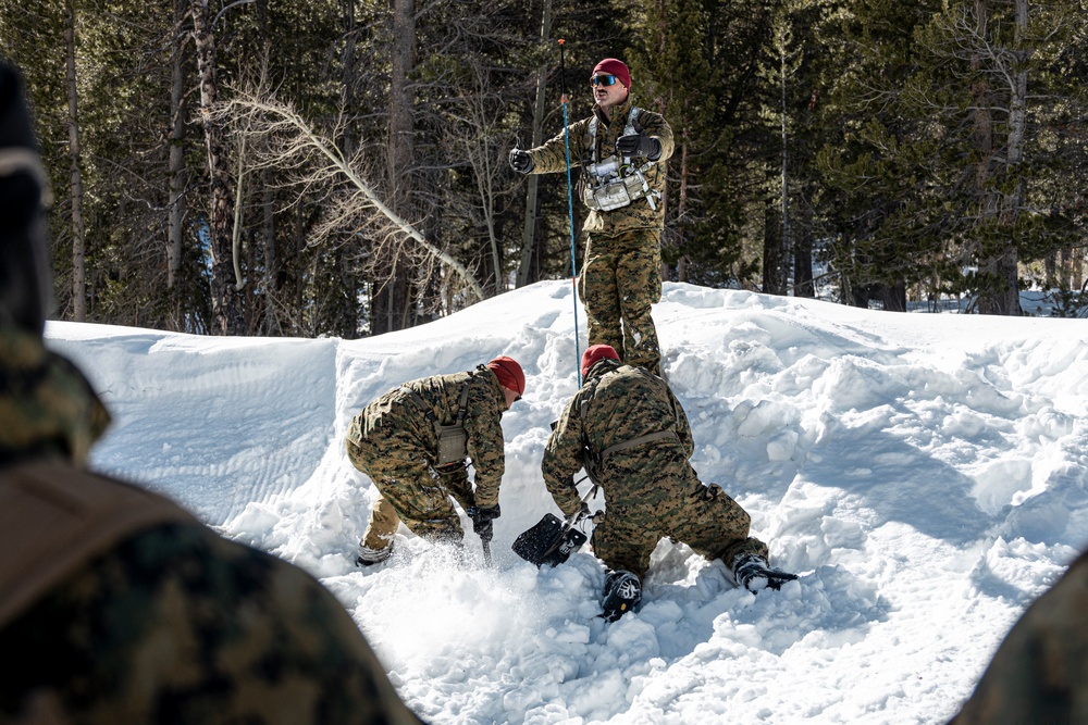 Marines with 3/5 participate in Avalanche Rescue Class during MTX 1-25