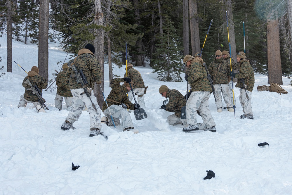 Marines with 3/5 participate in Avalanche Rescue Class during MTX 1-25