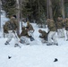 Marines with 3/5 participate in Avalanche Rescue Class during MTX 1-25