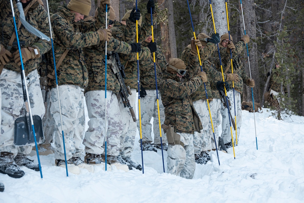 Marines with 3/5 participate in Avalanche Rescue Class during MTX 1-25