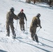 Marines practice downhill skiing during Winter Mountain Leaders Course 1-25
