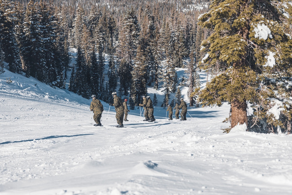 Marines practice downhill skiing during Winter Mountain Leaders Course 1-25