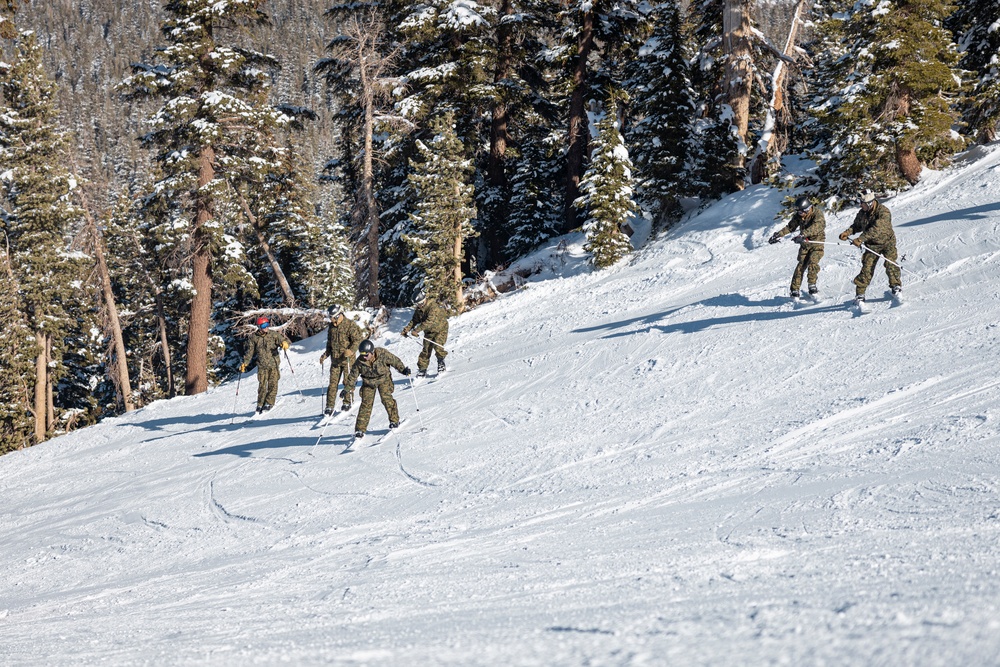 Marines practice downhill skiing during Winter Mountain Leaders Course 1-25
