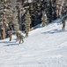 Marines practice downhill skiing during Winter Mountain Leaders Course 1-25