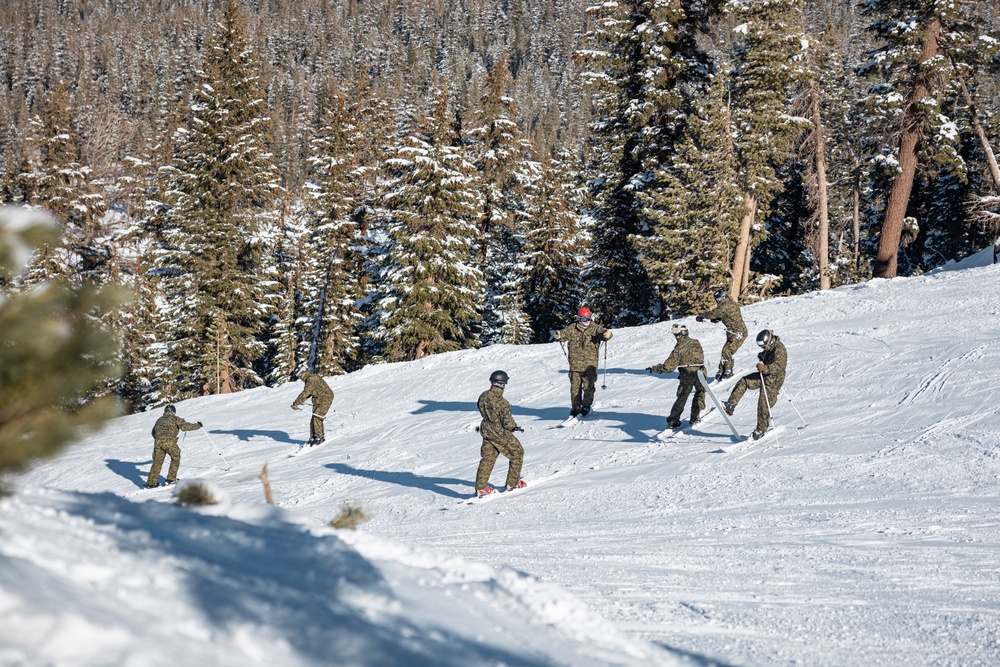 Marines practice downhill skiing during Winter Mountain Leaders Course 1-25