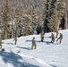 Marines practice downhill skiing during Winter Mountain Leaders Course 1-25