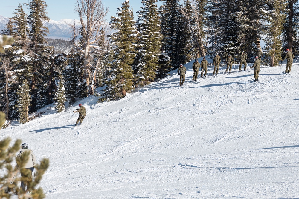 Marines practice downhill skiing during Winter Mountain Leaders Course 1-25