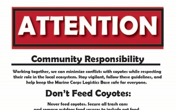 Coyote Safety &amp; Awareness on MCLB Barstow