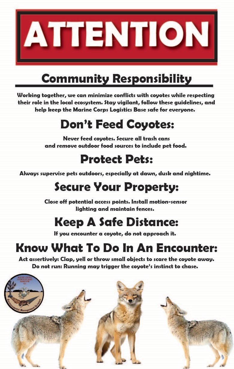 Coyote Safety &amp; Awareness on MCLB Barstow