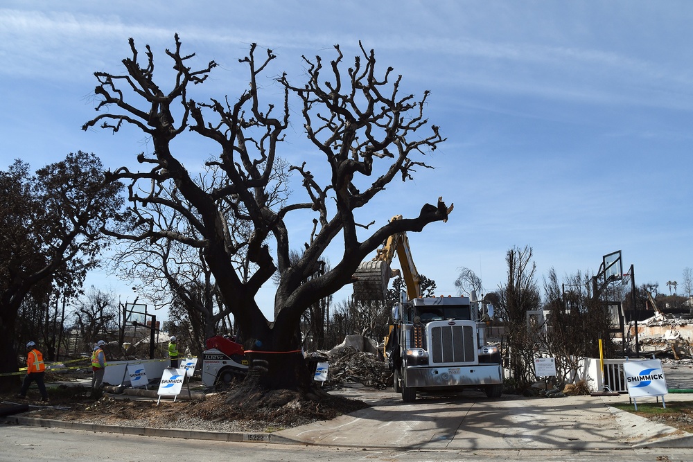 First of many Palisades properties cleared by U.S. Army Corps of Engineers