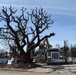 First of many Palisades properties cleared by U.S. Army Corps of Engineers