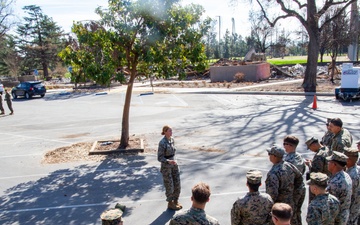 1ST MLG Marine Instructs Marines