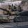 U.S., ROK forces forge interoperability with combined arms exercise U.S., ROK forces forge interoperability with combined arms exercise