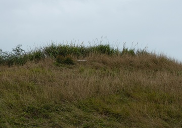 3rd Radio Battalion conducts Sensor Expeditionary Advanced Base exercise