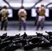 Special Operations Forces hosts Best Squad Competition