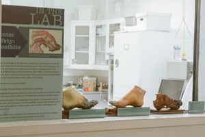 241120-NSASOUDABAYRADIONEWS