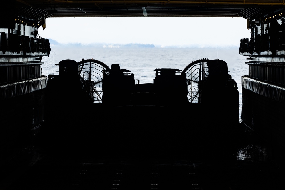 31st MEU | BLT 2/4 conducts ship-to-shore movement