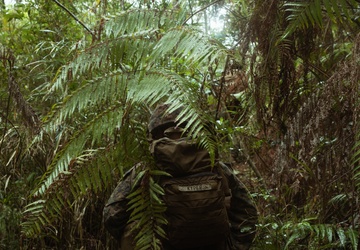 31st MEU | BLT 2/4 conducts motorized raid exercise