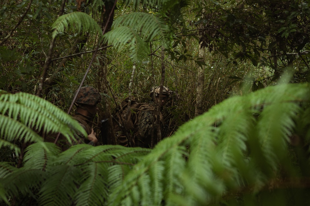 31st MEU | BLT 2/4 conducts motorized raid exercise