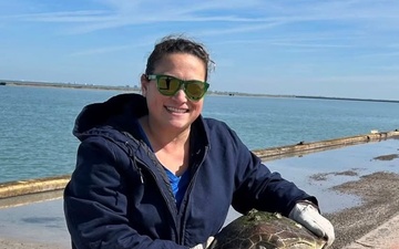 NAVFAC Southeast Responds to Cold-Stunned Sea Turtles at NAS Corpus Christi