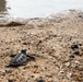 U.S. Navy Sailors release baby sea turtles into ocean during Multilateral Naval Exercise Komodo 2025 community relations project