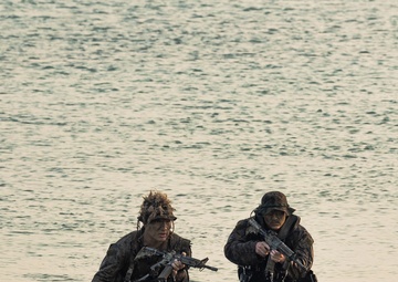 BLT 2/4 conducts a Night Raid