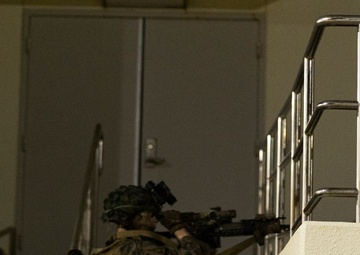 BLT 2/4 conducts a Night Raid