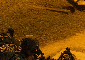 BLT 2/4 conducts a Night Raid