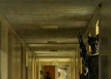 BLT 2/4 conducts a Night Raid