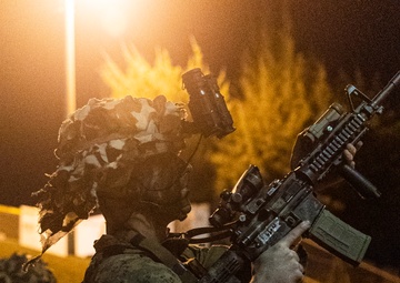 BLT 2/4 conducts a Night Raid