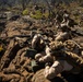 3d LCT | Infantry Battle Course at Pohakuloa