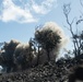 3d LCT | Infantry Battle Course at Pohakuloa