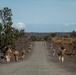 3d LCT | Infantry Battle Course at Pohakuloa