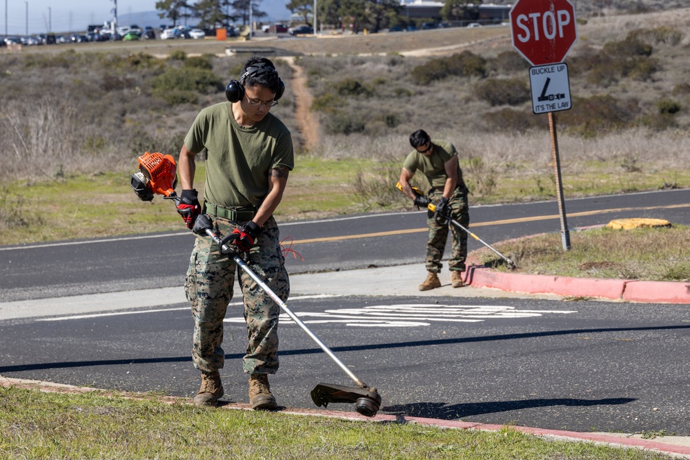 MASS-3 Marines participate in Semper Tergeo