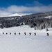 10th Mountain Division Leads Elite Forces across the Hale to Vail Traverse