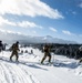 10th Mountain Division Leads Elite Forces across the Hale to Vail Traverse