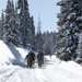 10th Mountain Division Leads Elite Forces across the Hale to Vail Traverse