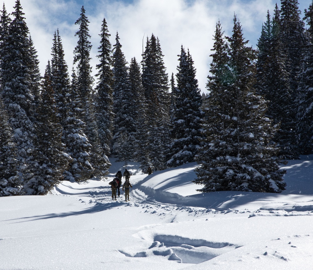 10th Mountain Division Leads Elite Forces across the Hale to Vail Traverse