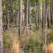 Inside Hurlburt Field’s ongoing security forces training