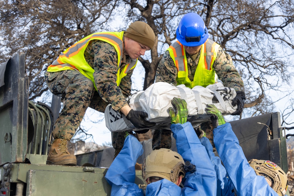 U.S. service members dispose of power walls