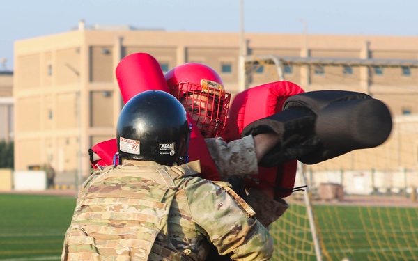 2024 CJTF-OIR MCMAP Demonstration