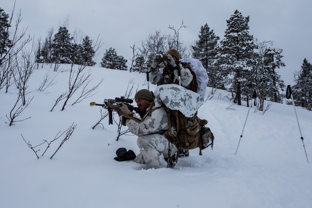 Exercise Joint Viking 25: Cold Weather Training Week 3