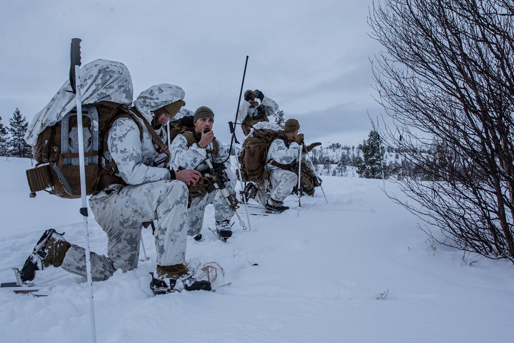 Exercise Joint Viking 25: Cold Weather Training Week 3