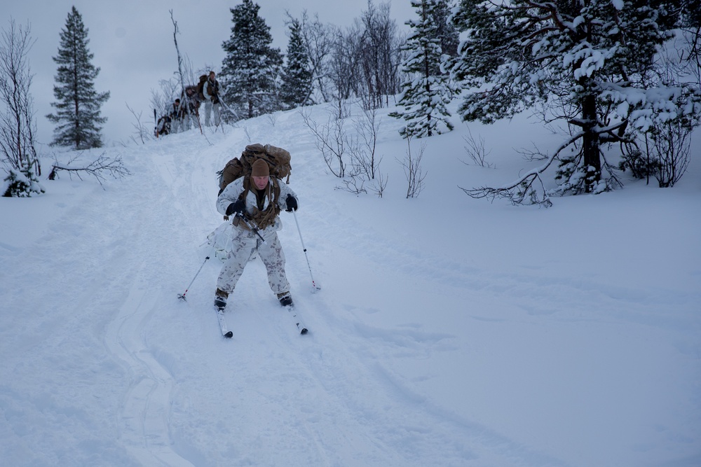 Exercise Joint Viking 25: Cold Weather Training Week 3