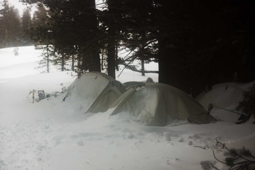 3rd Bn., 5th Marines builds tent site during MTX 1-25