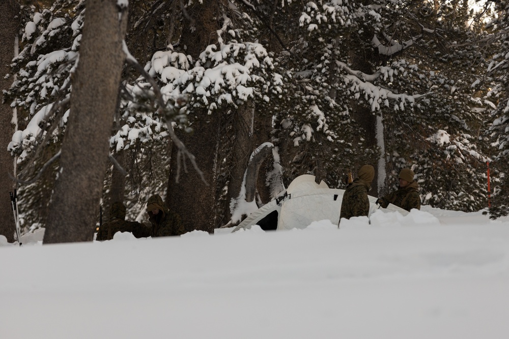 3rd Bn., 5th Marines builds tent site during MTX 1-25