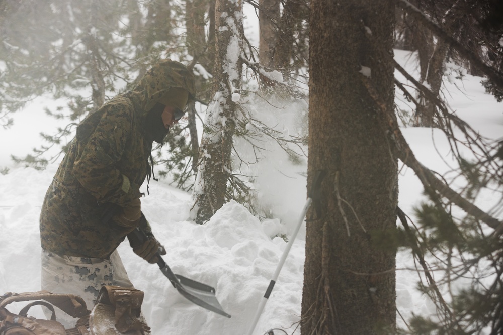 3rd Bn., 5th Marines builds tent site during MTX 1-25