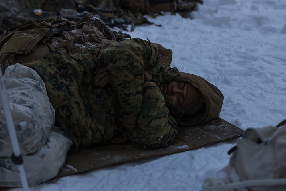 DVIDS - Images - 3rd Bn., 5th Marines conducts force-on-force training ...