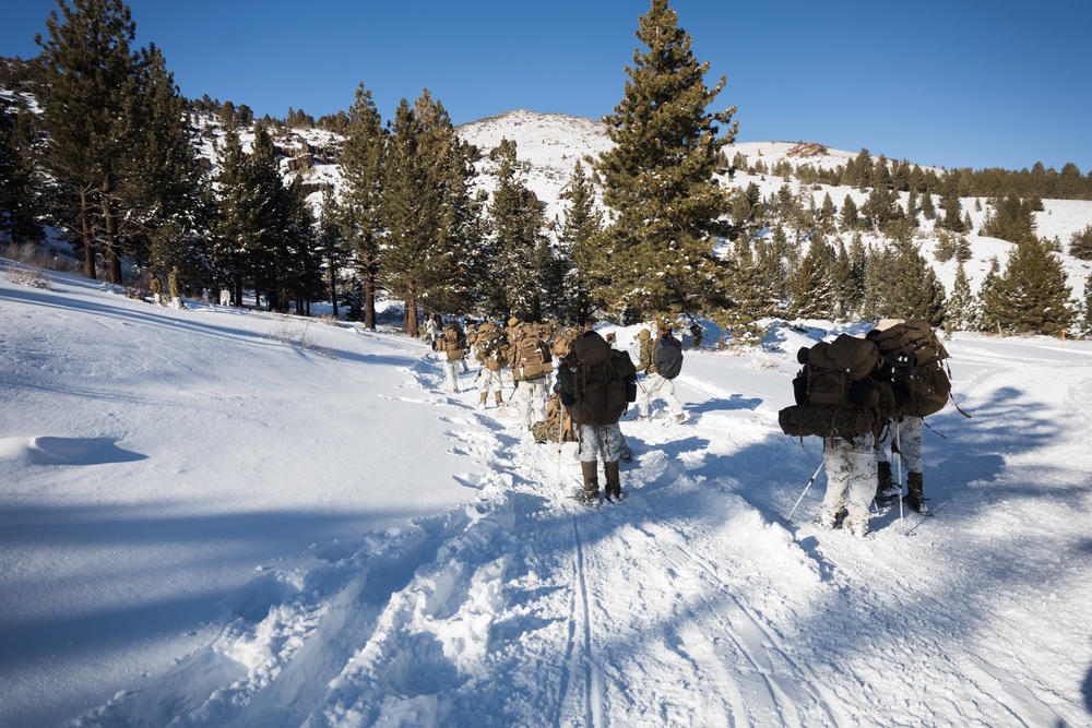 DVIDS - Images - 3rd Bn., 5th Marines conducts force-on-force training ...